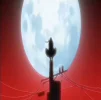 zxcursed