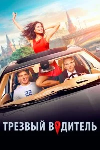 Трезвый водитель (2019)